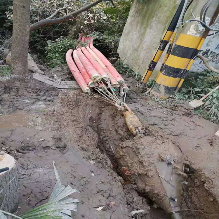 沈阳武汉焊接涂装线拖拉管